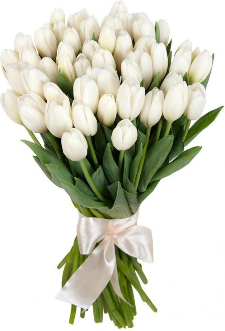 Белые тюльпаны огромный букет